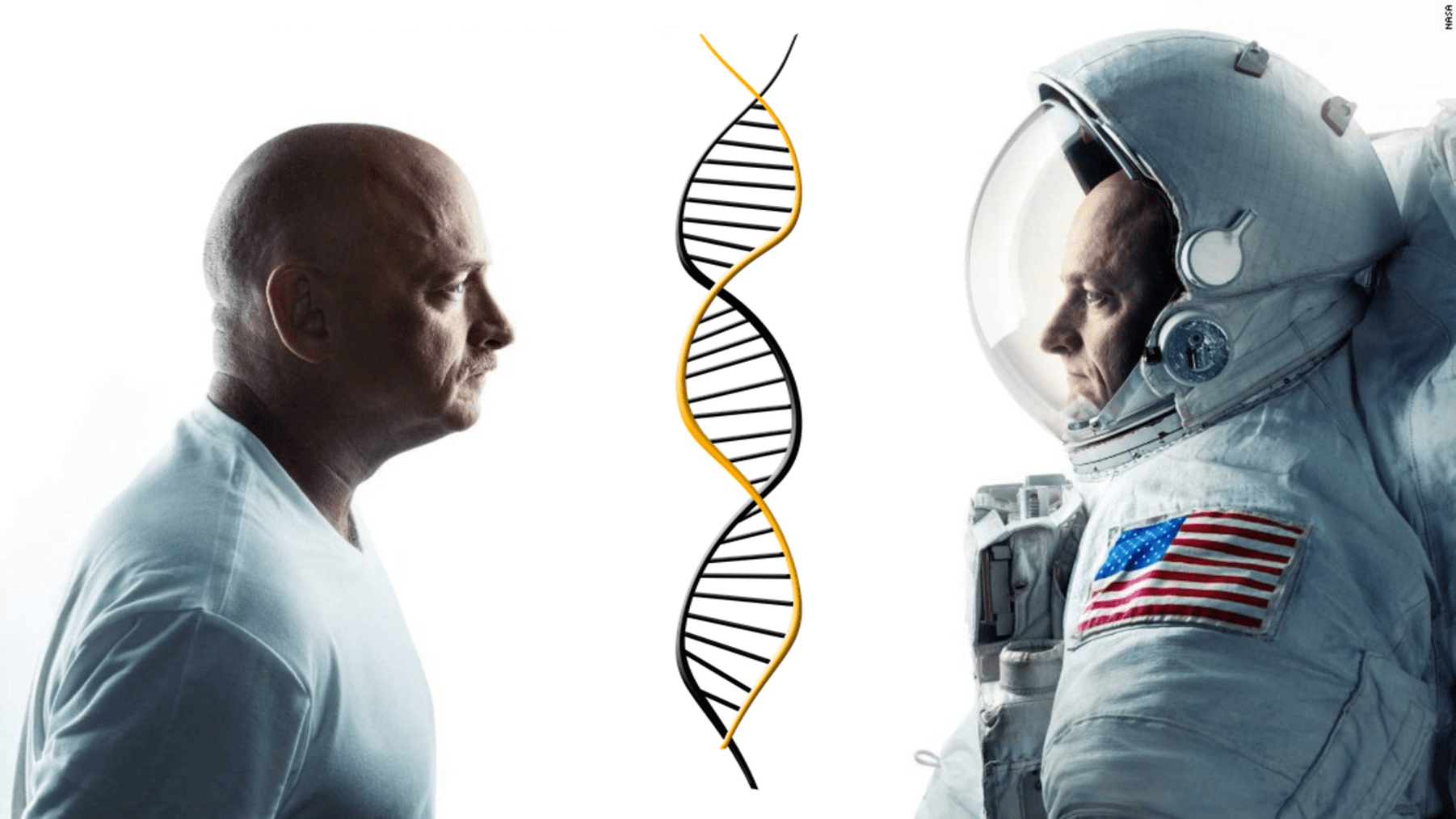 Life in the Universe Facts