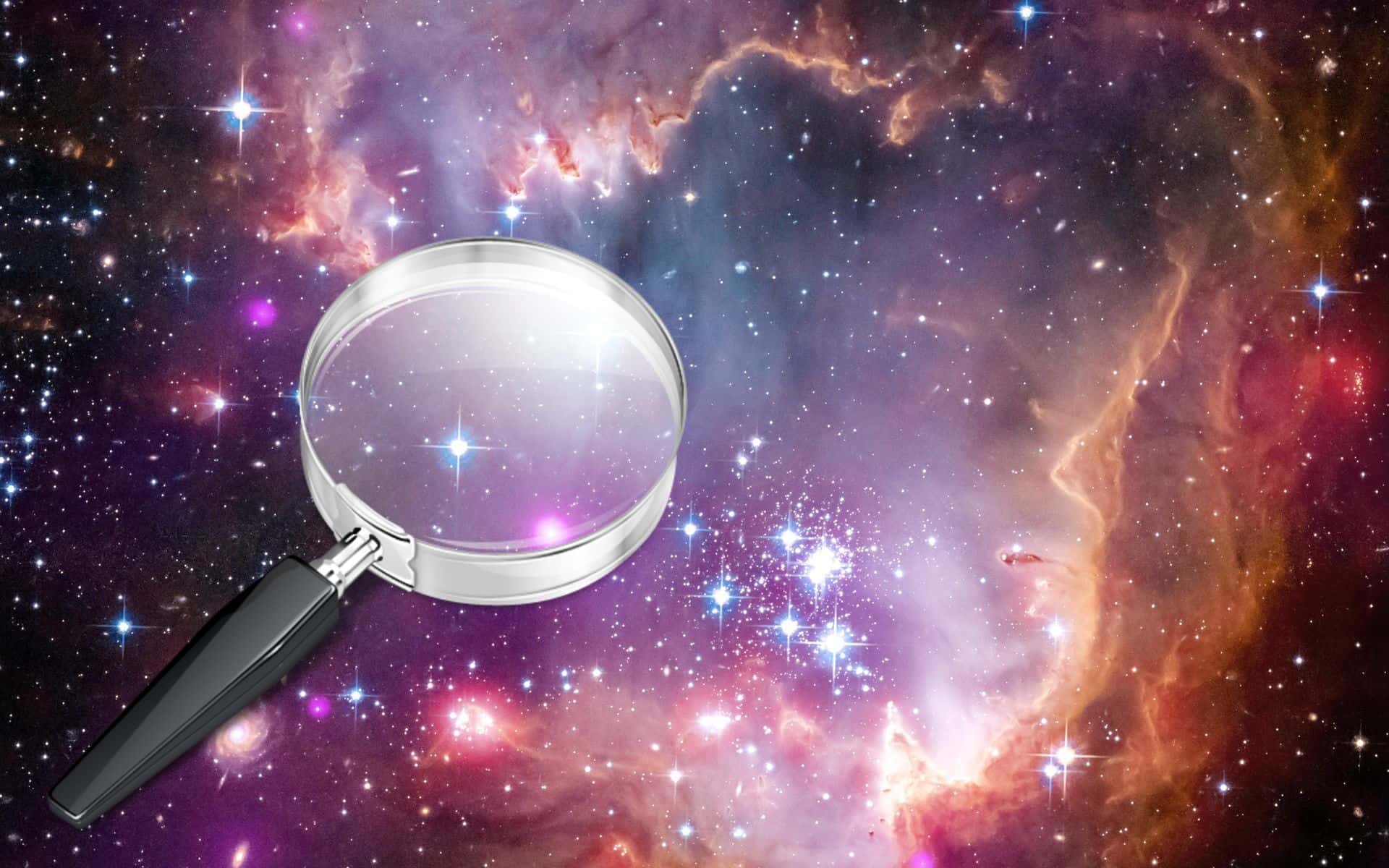 Life in the Universe Facts