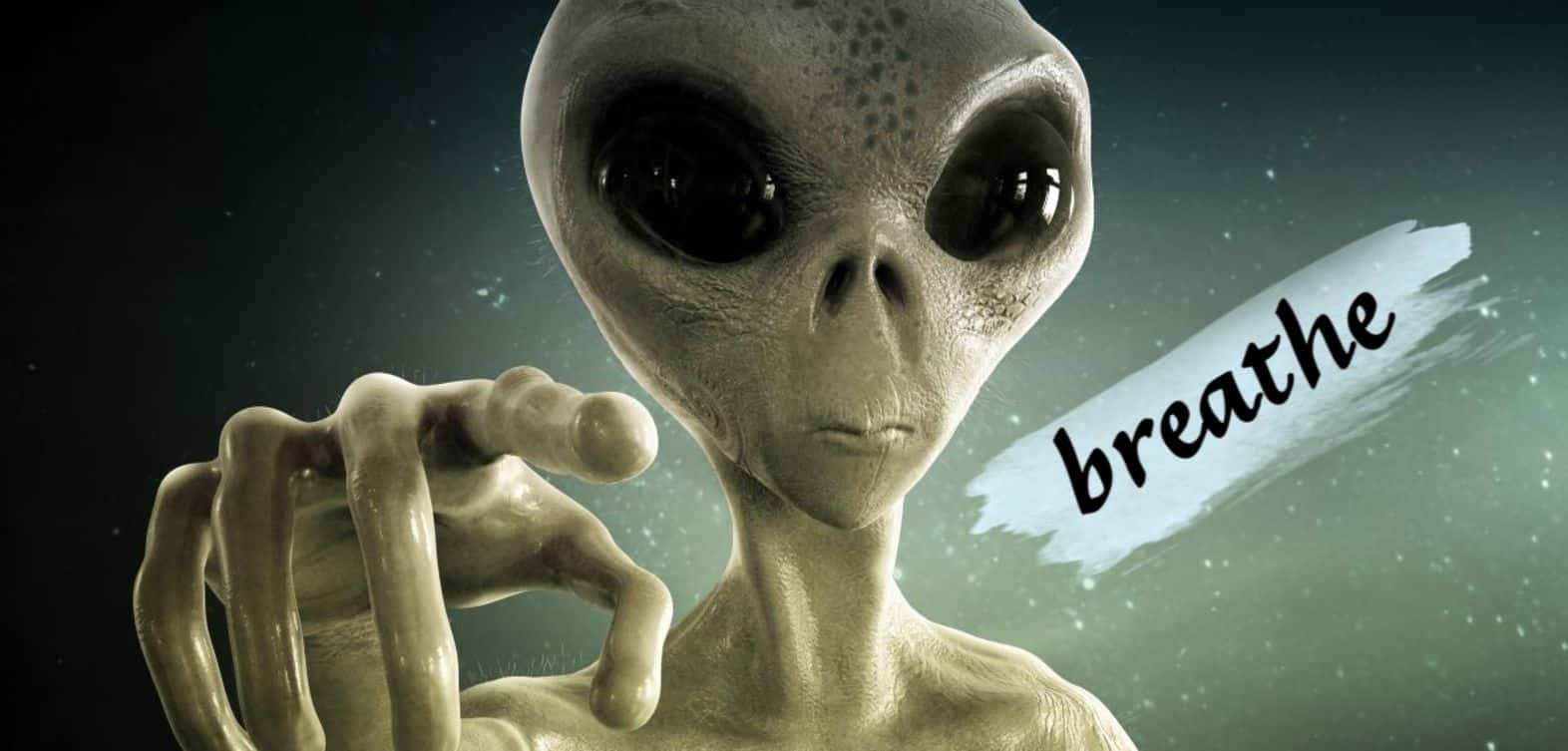 Life in the Universe Facts