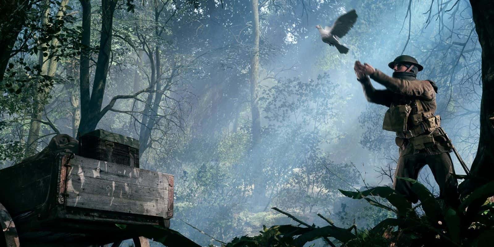 Animals In Warfare facts 