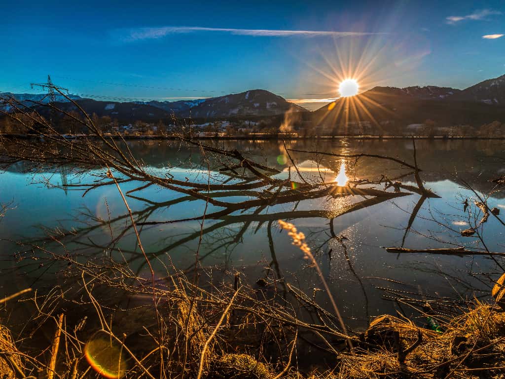 Bizarre Science facts