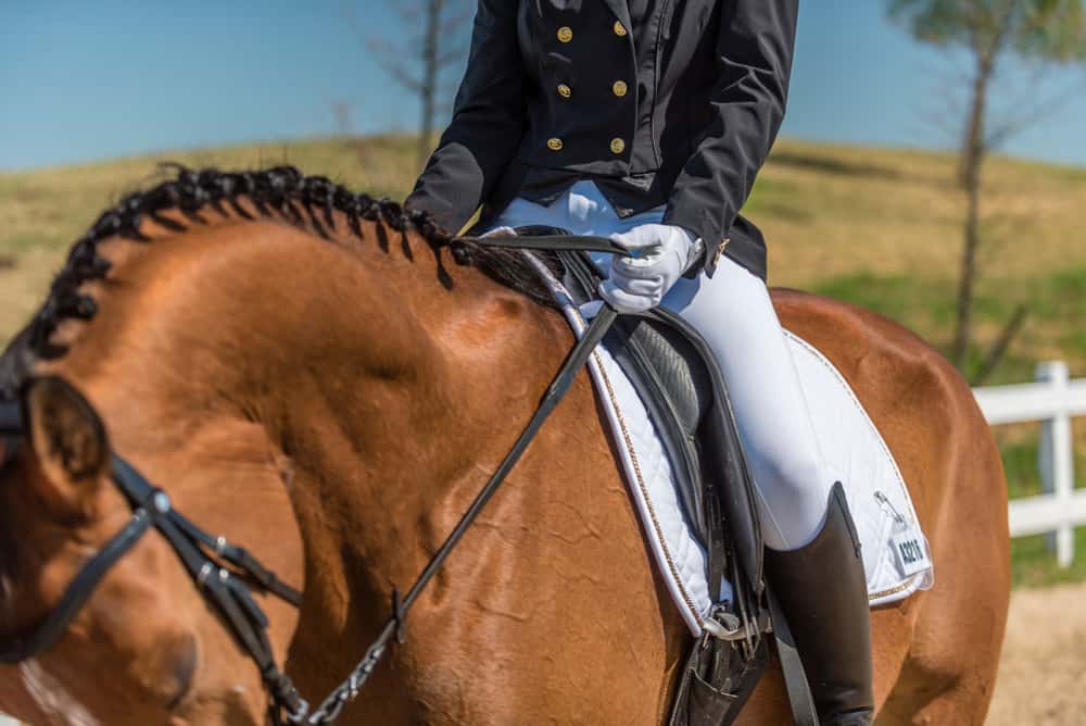 Egyptian Pharaohs Facts