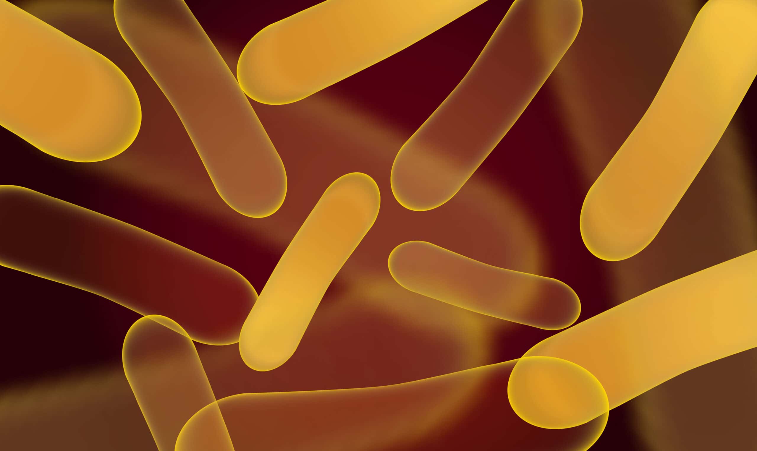 Depraved Depths of History facts