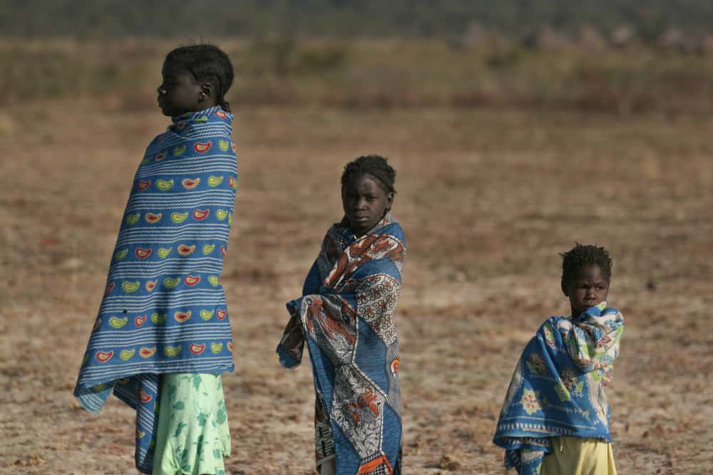 Tribal Chieftains Facts