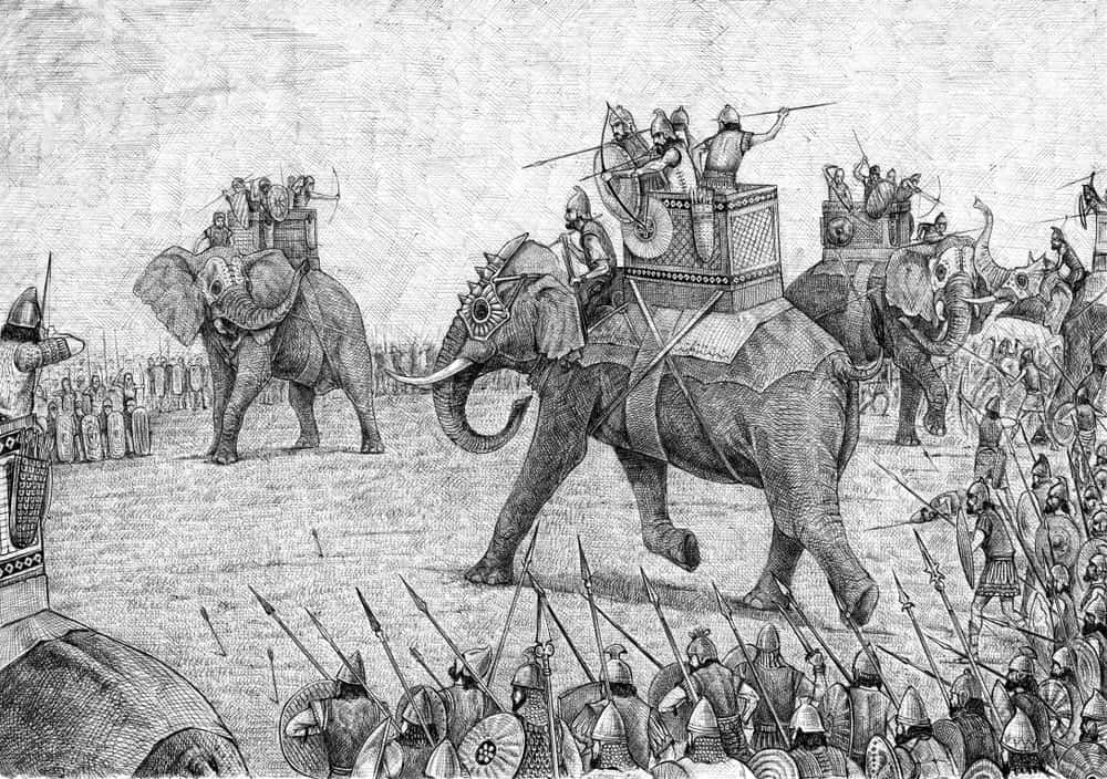 Animals In Warfare Facts