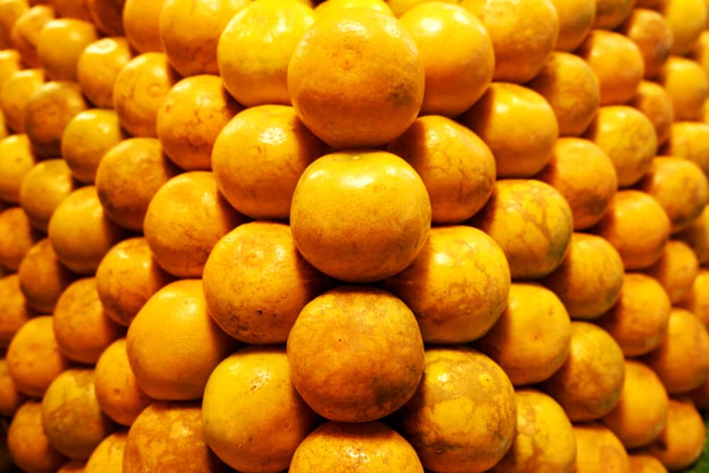 Creepy Art Installations Facts