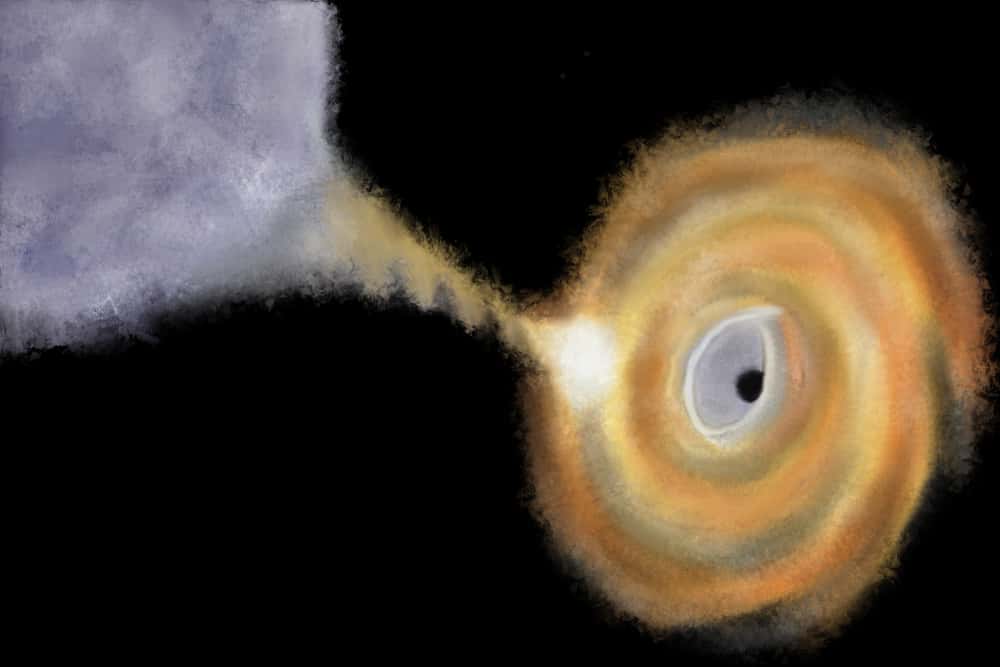 Bizarre Science facts