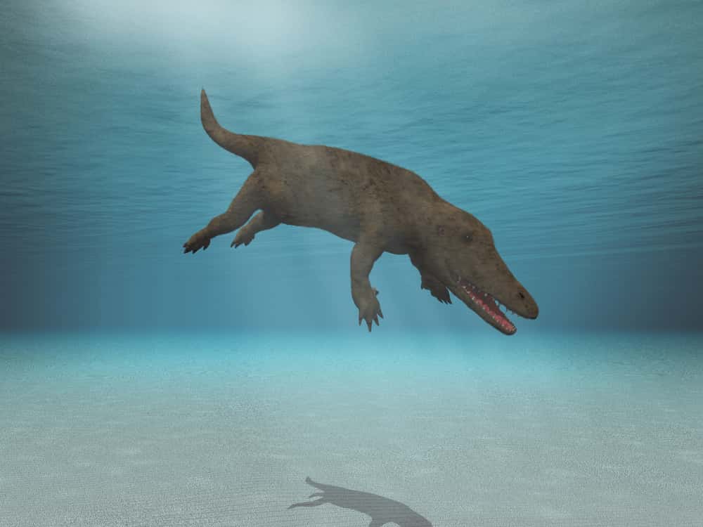 Prehistoric Beasts Facts