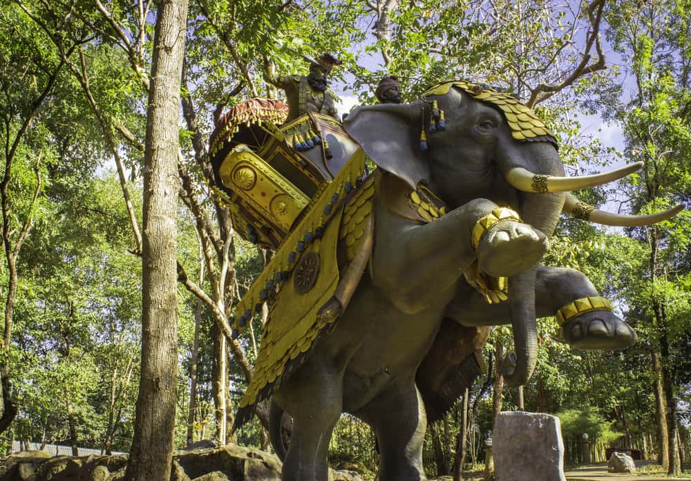 Animals In Warfare Facts