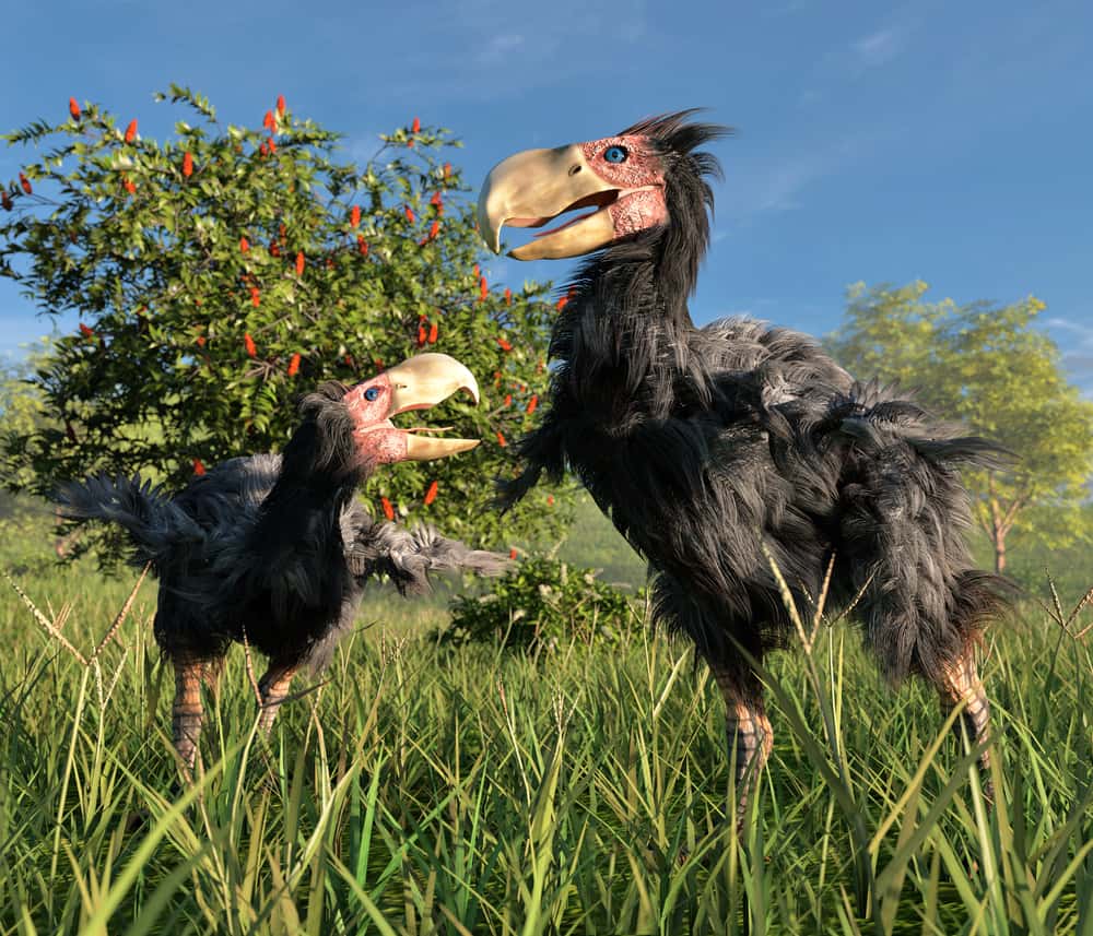 Prehistoric Beasts Facts