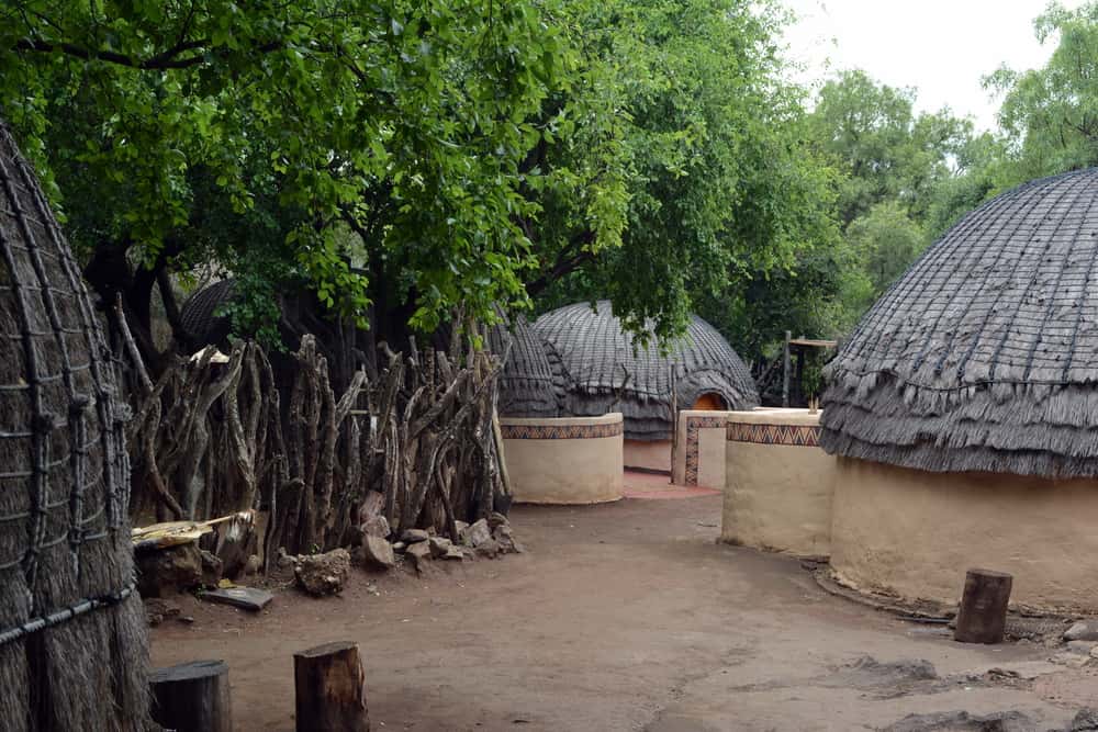 Tribal Chieftains Facts