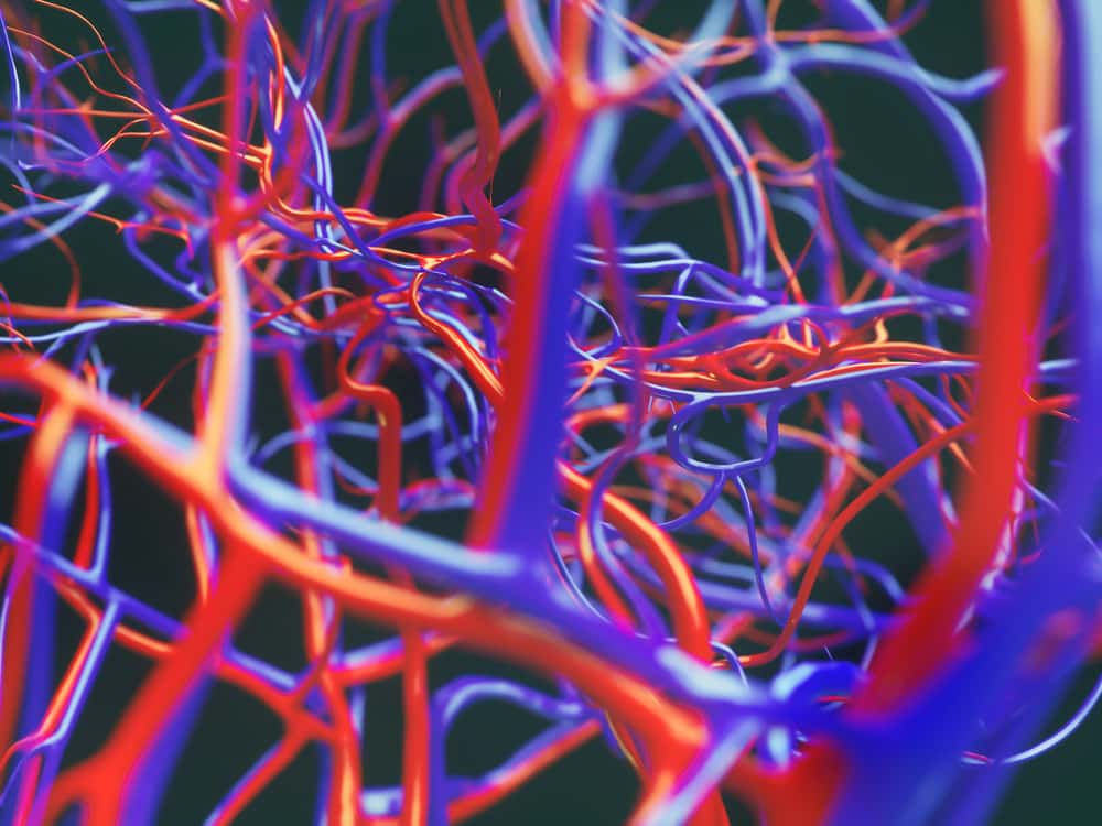 Bizarre Science facts