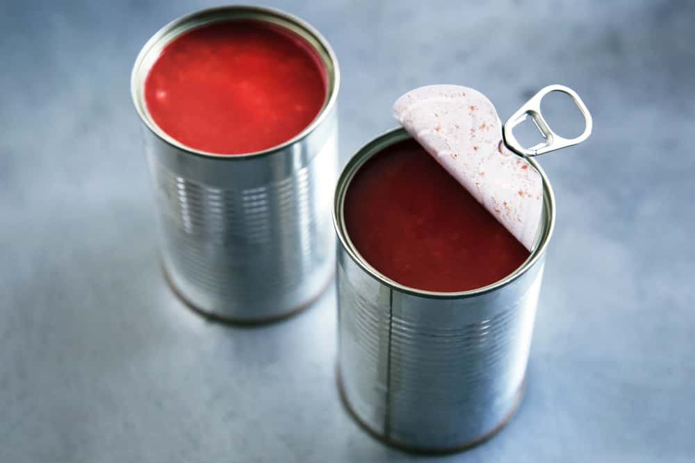 Amelia Earhart Facts