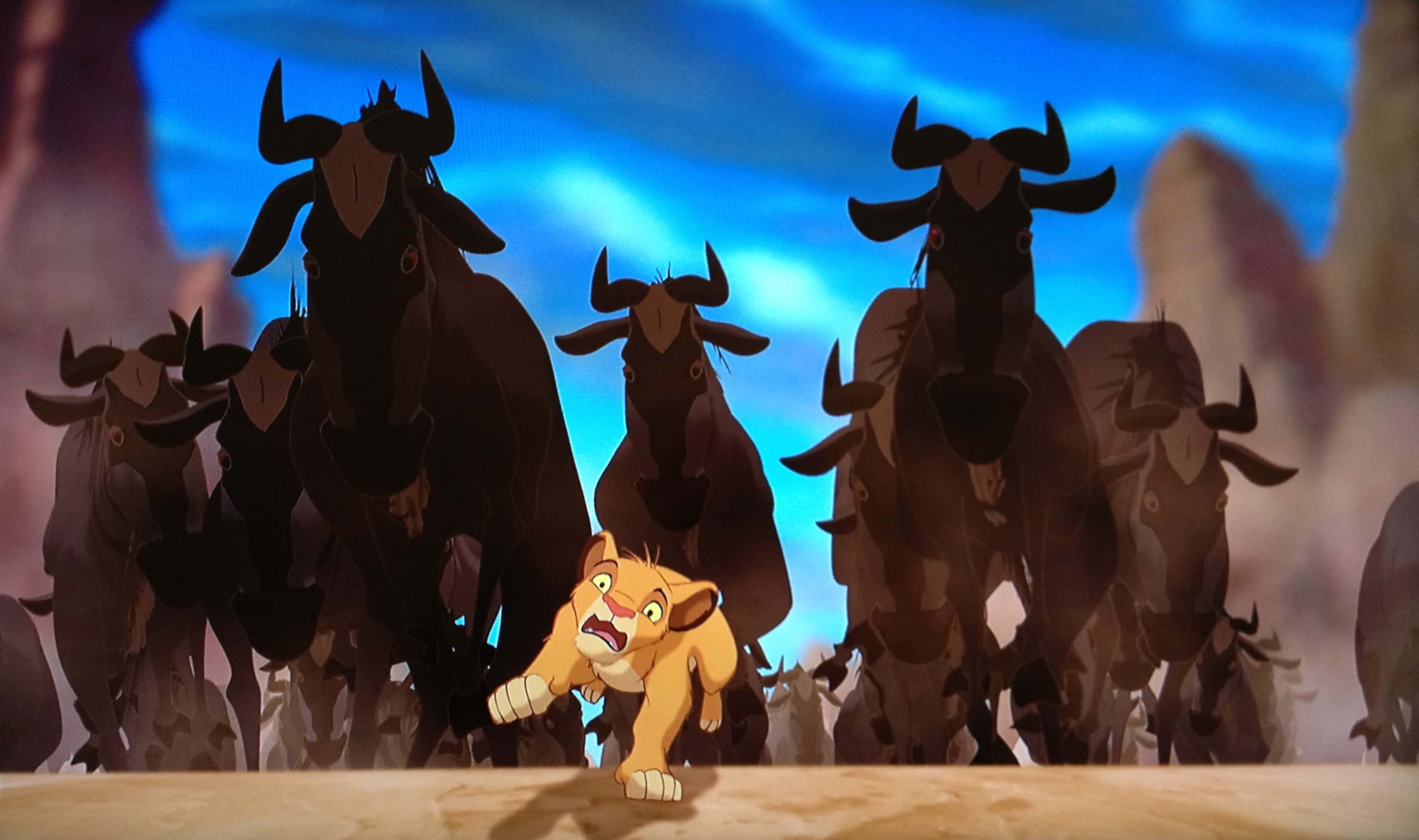 Animals In Warfare facts 