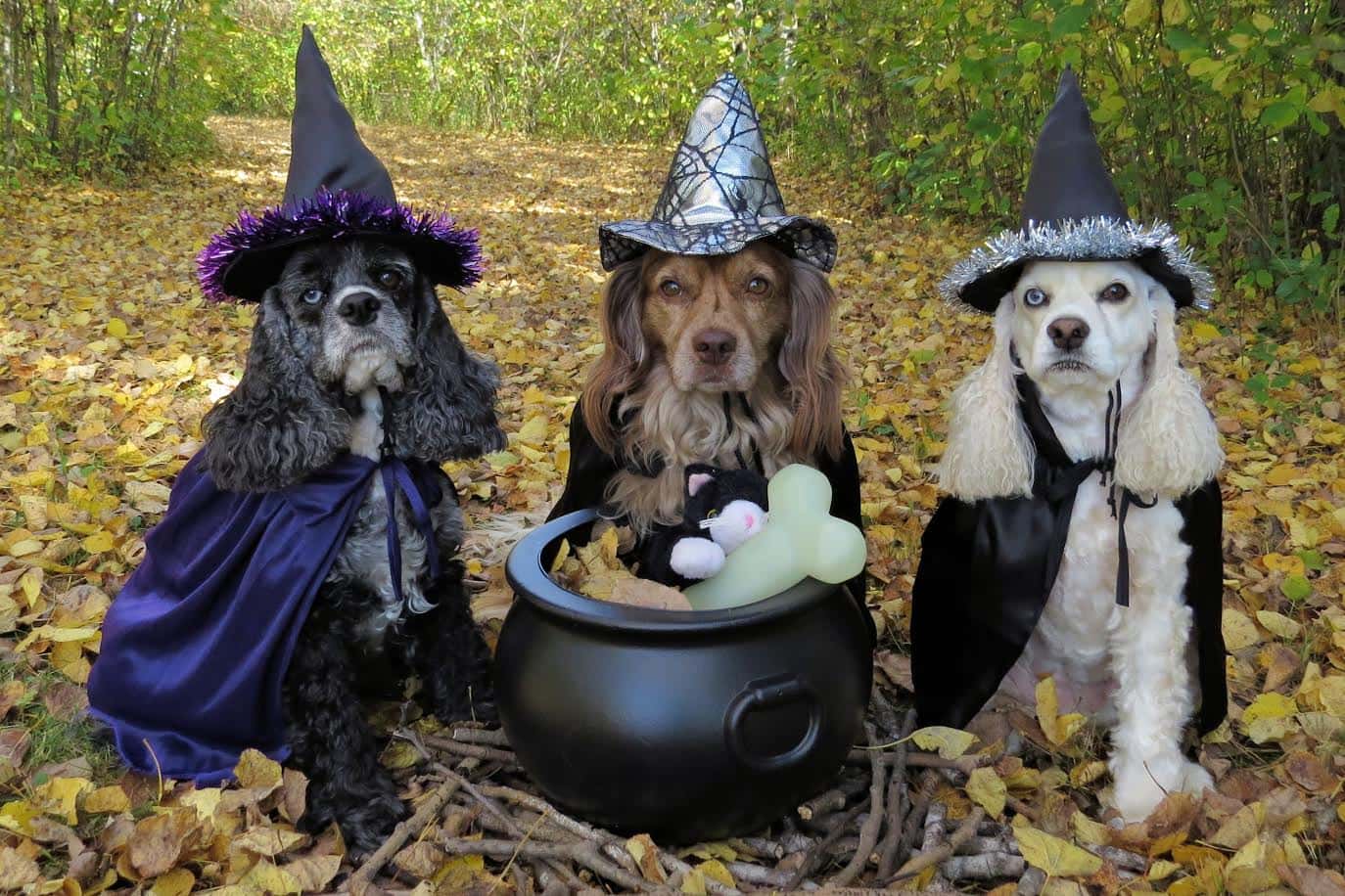 Salem Witch Trials facts