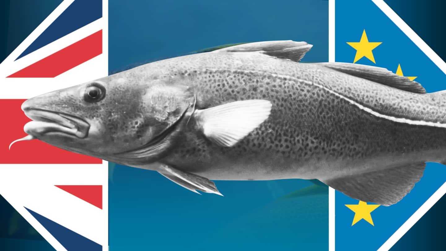 European Union facts