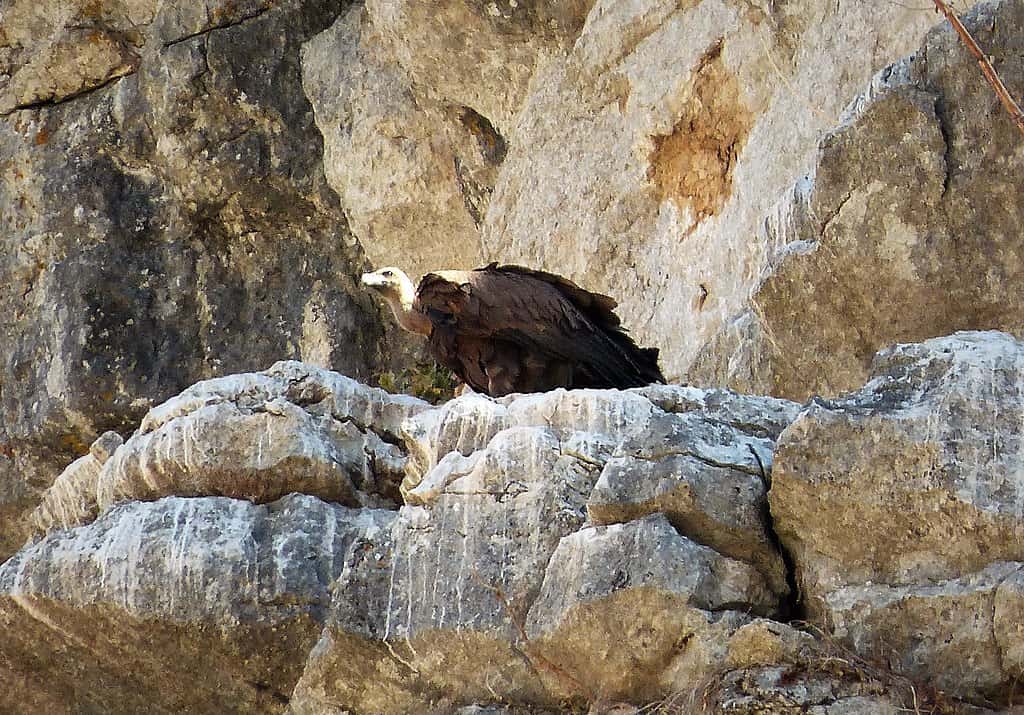 European Union facts