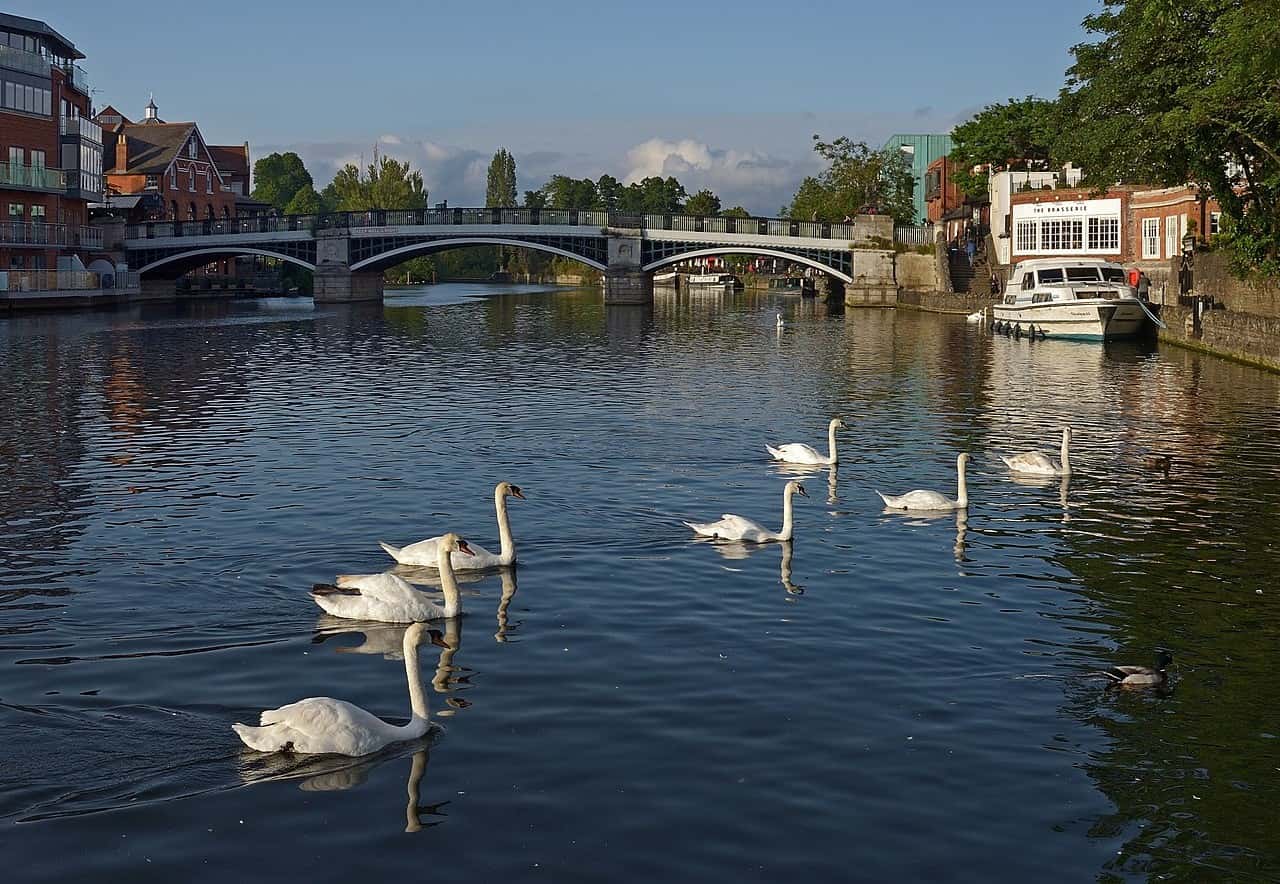 History's Upper Class Facts