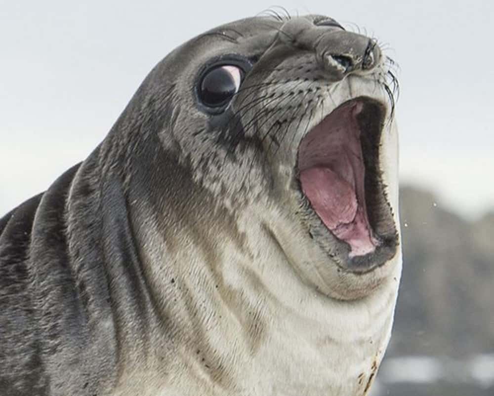 Medieval Beliefs facts