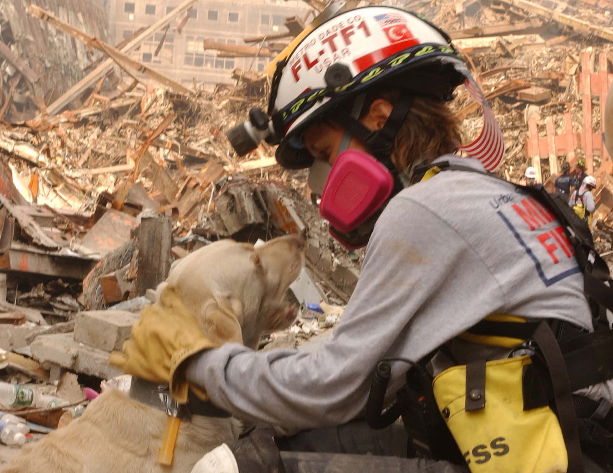 Daring Rescues Facts