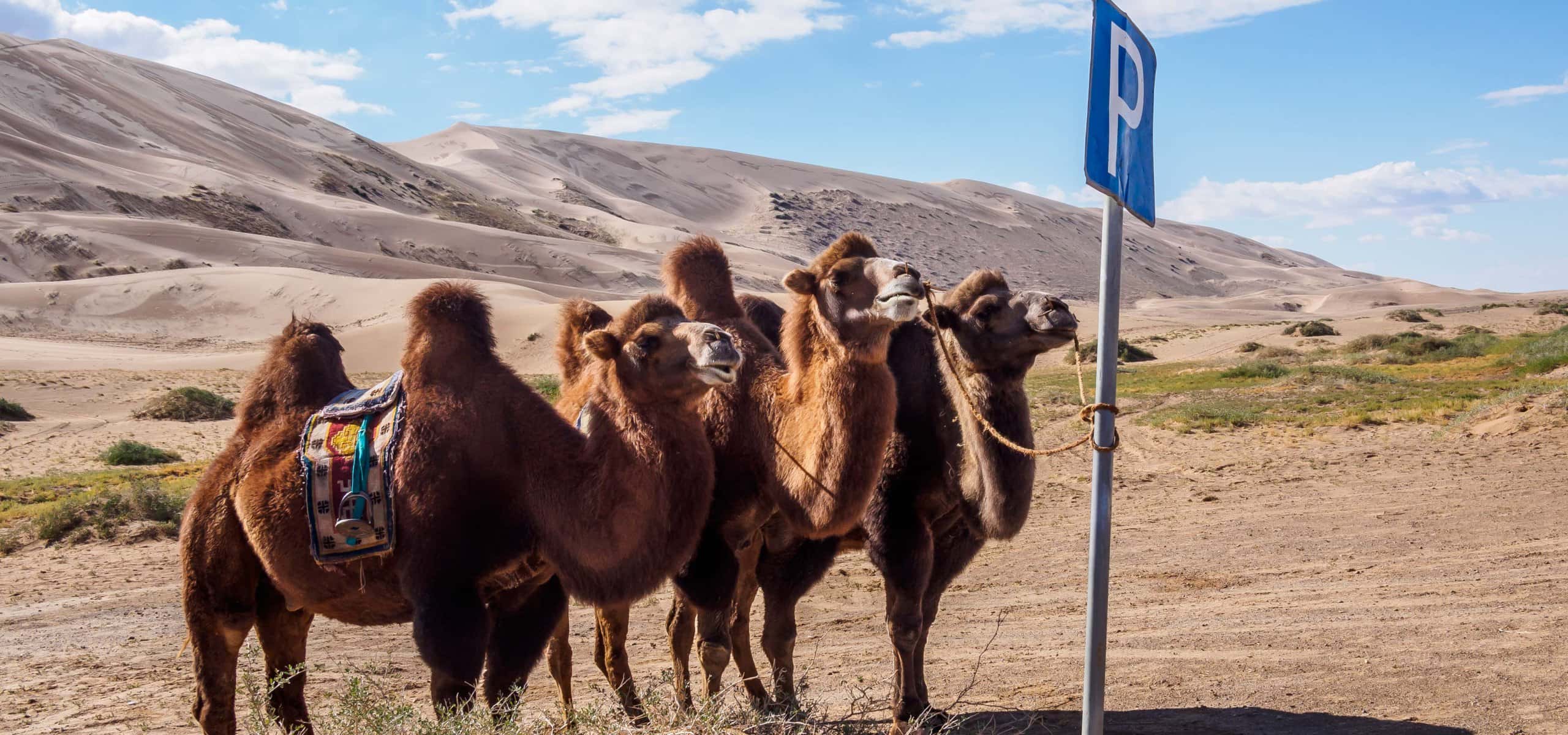 World Conquerors facts