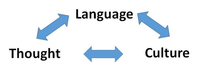 Feral Children facts