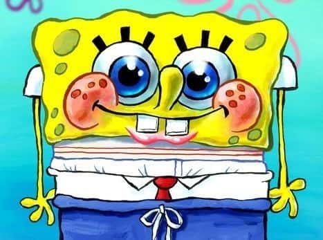 Roller Coasters facts