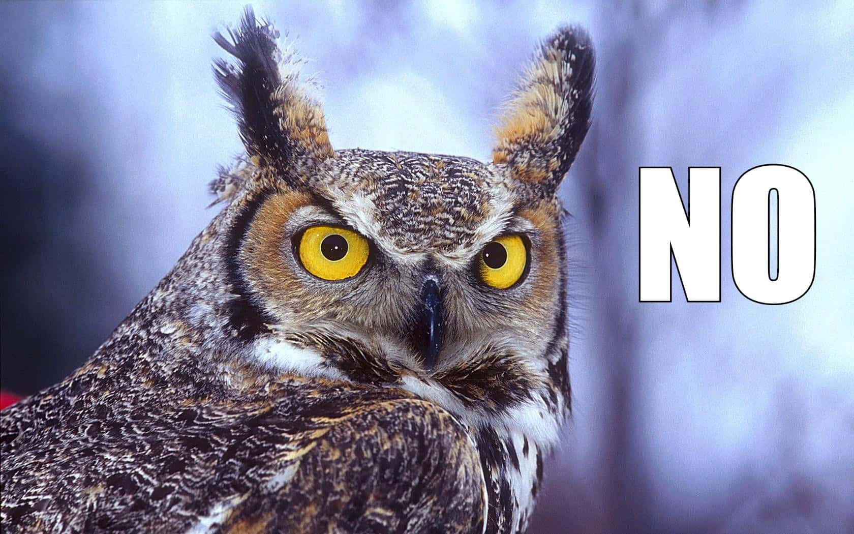 Mysterious Events facts