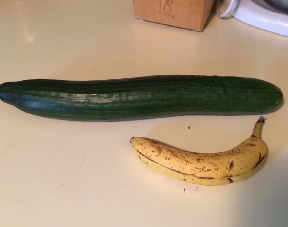 European Union facts