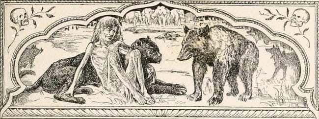 Feral Children facts