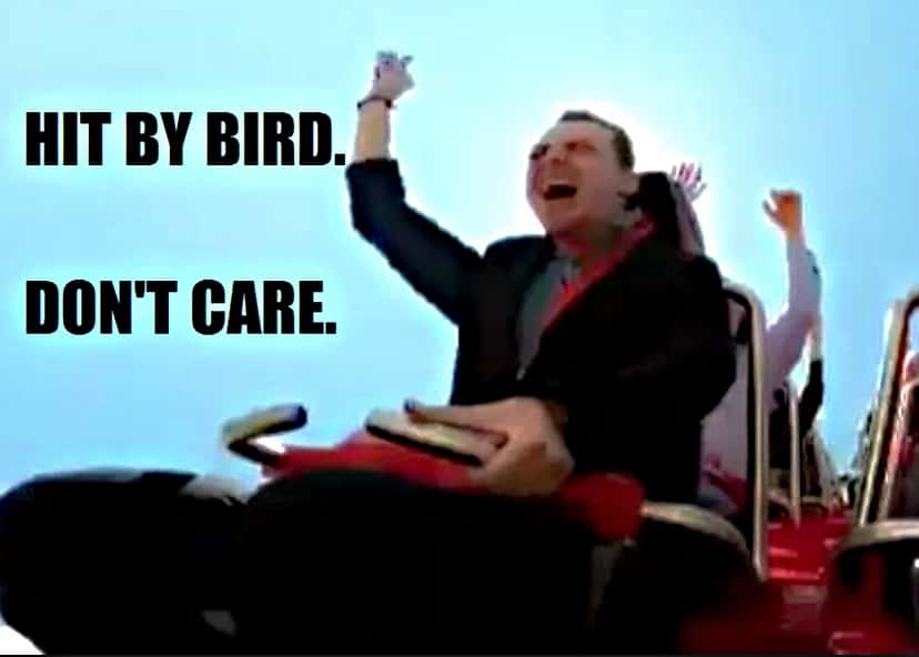 Roller Coasters facts