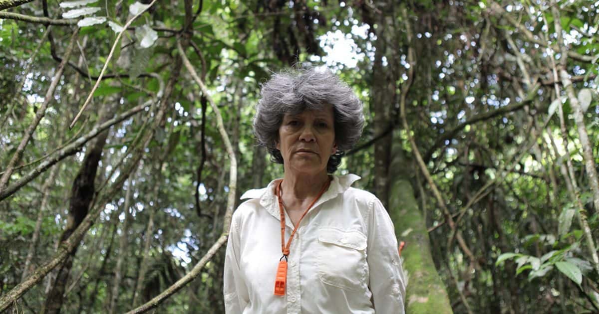 Feral Children facts