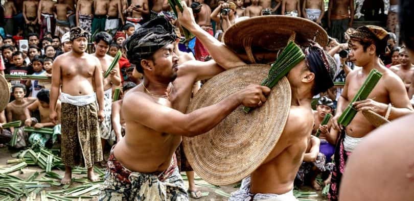 Bizarre Courtship Rituals Facts