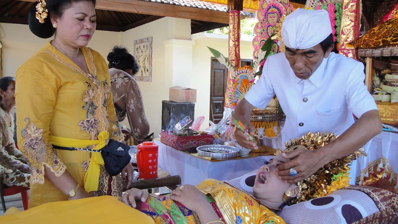 Bizarre Courtship Rituals Facts