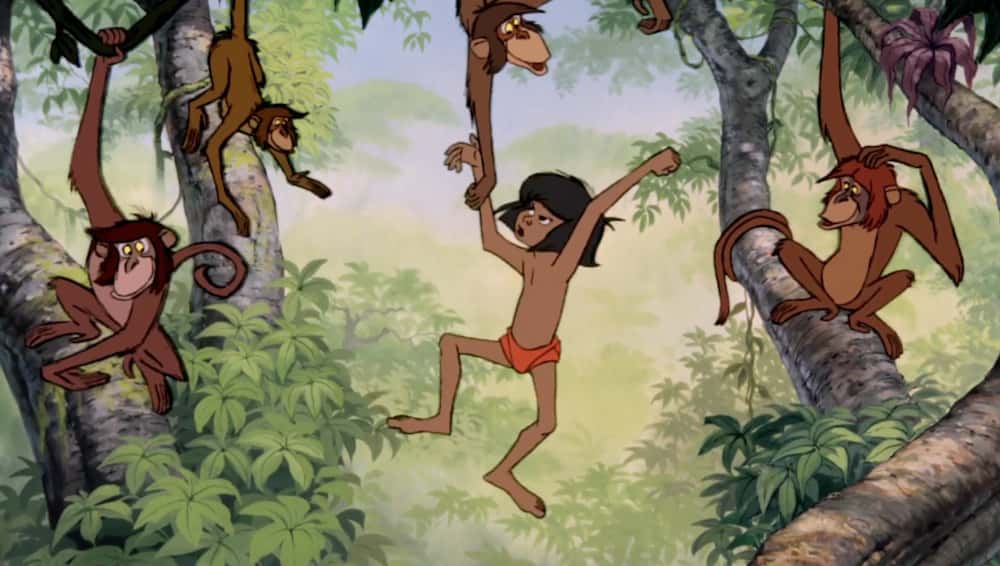 Feral Children facts