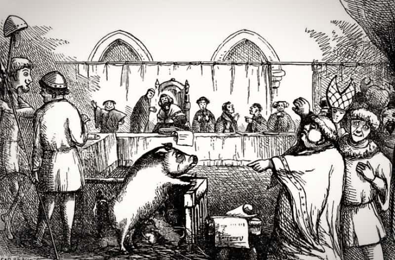 History's Darkest Moments Facts