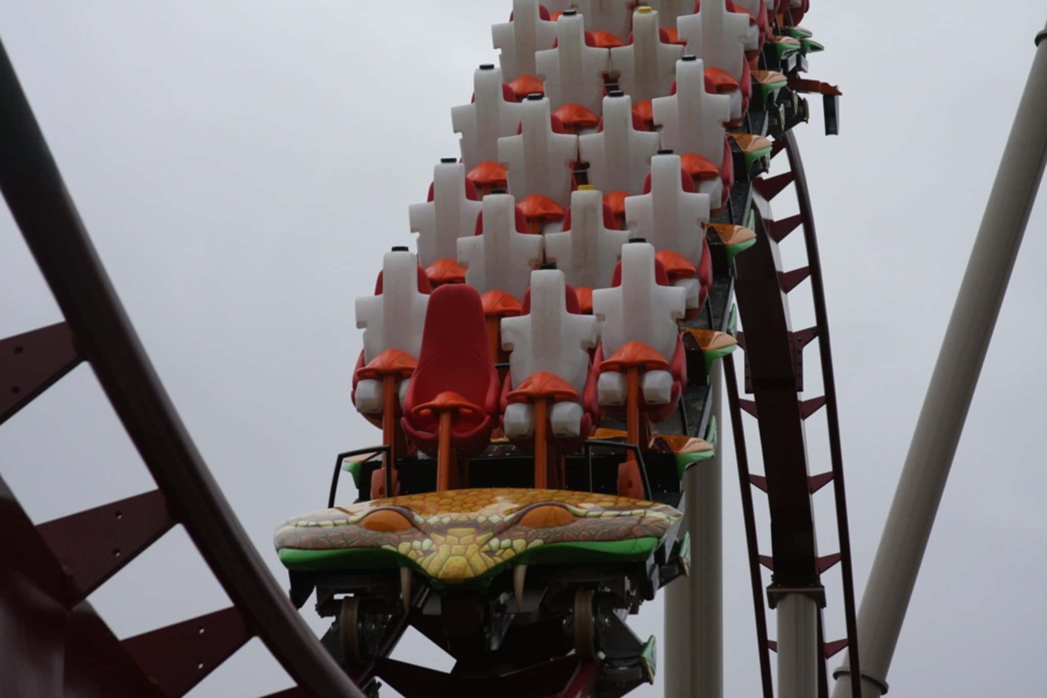 Roller Coasters facts