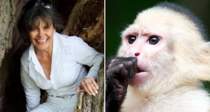 Feral Children facts