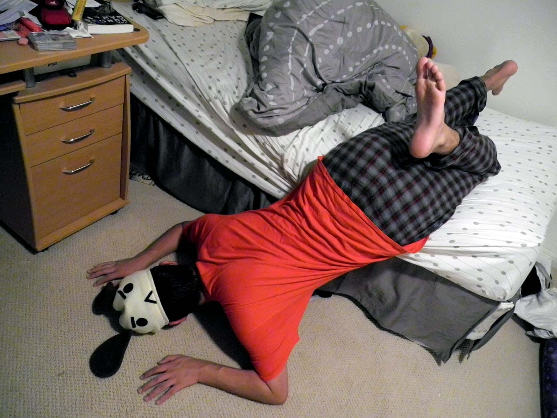 Roller Coasters facts