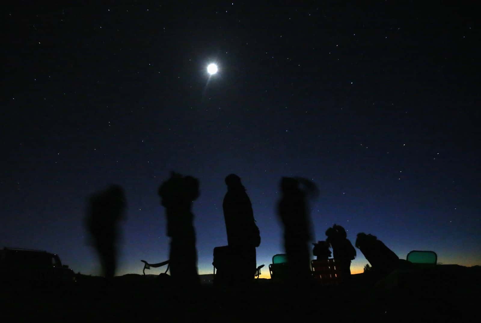 History's Weird Side facts