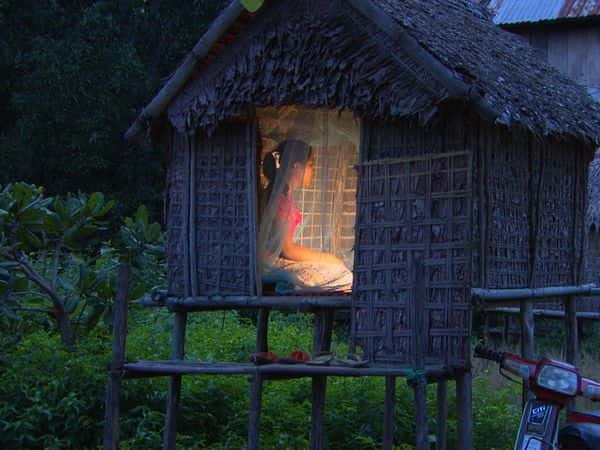 Bizarre Courtship Rituals Facts