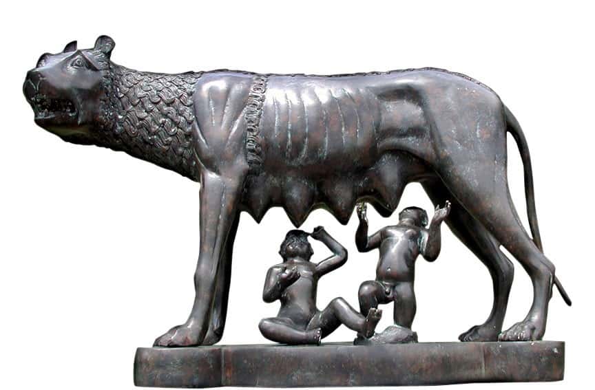 Feral Children facts