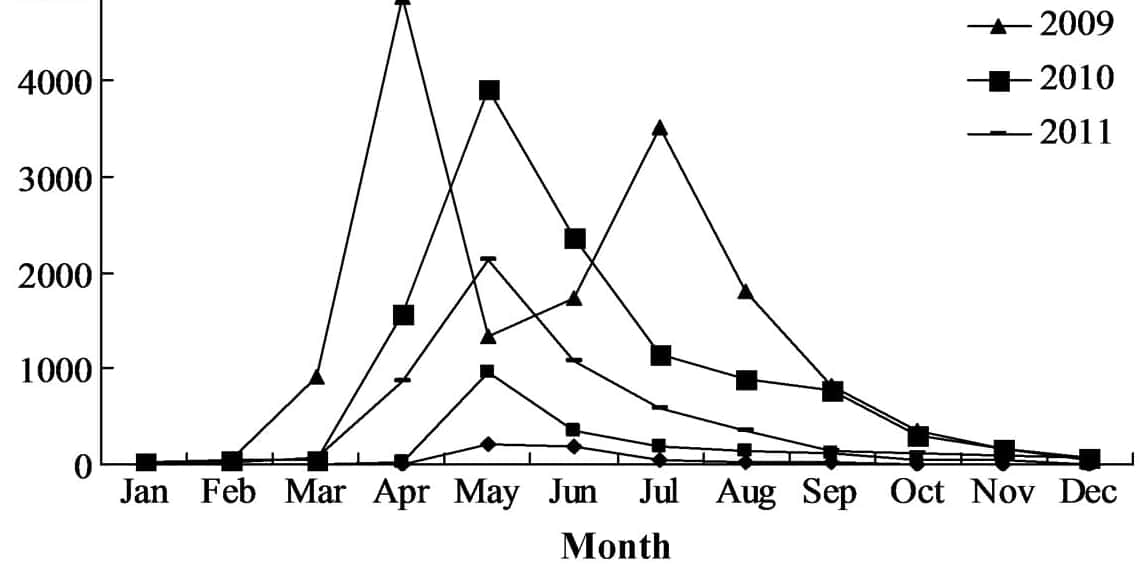 Feral Children facts