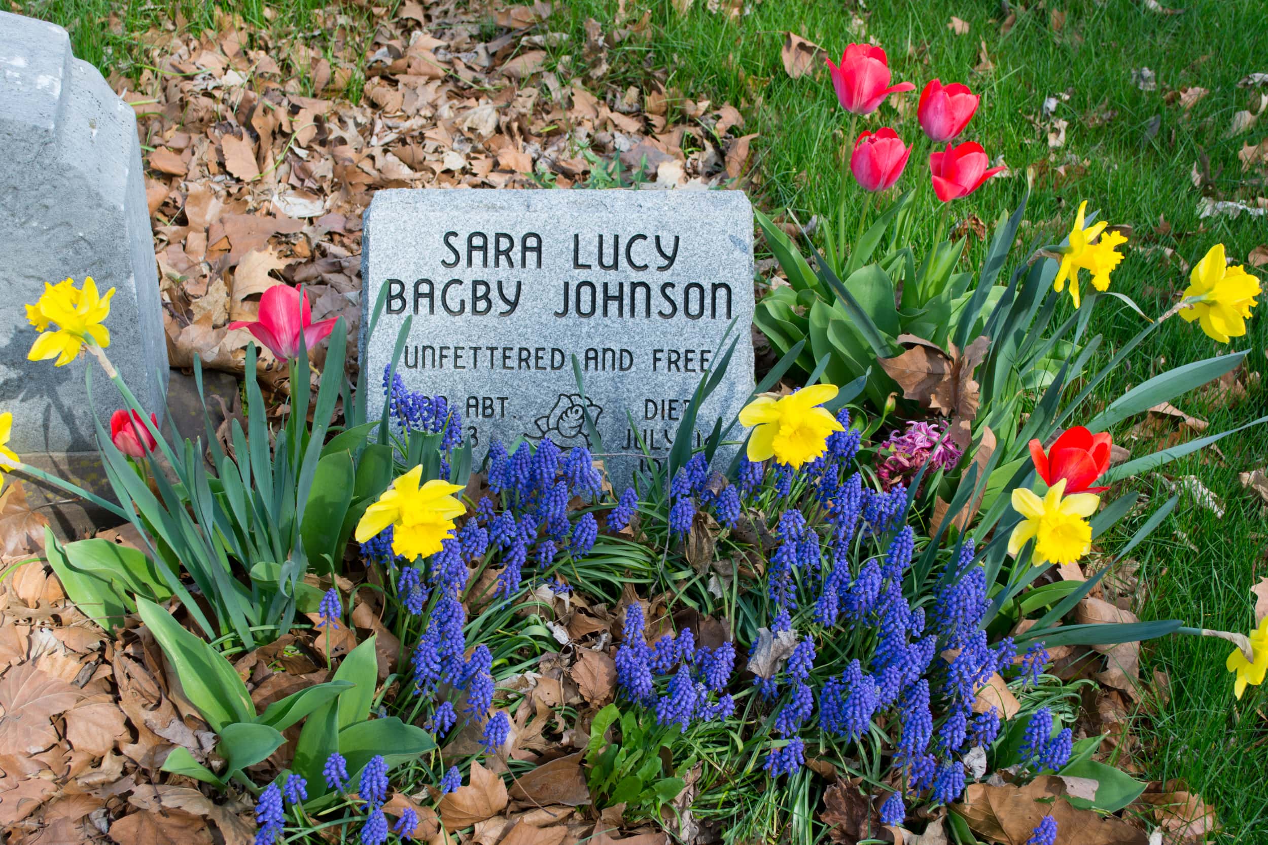 Underground Railroad Facts