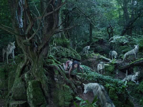 Feral Children facts