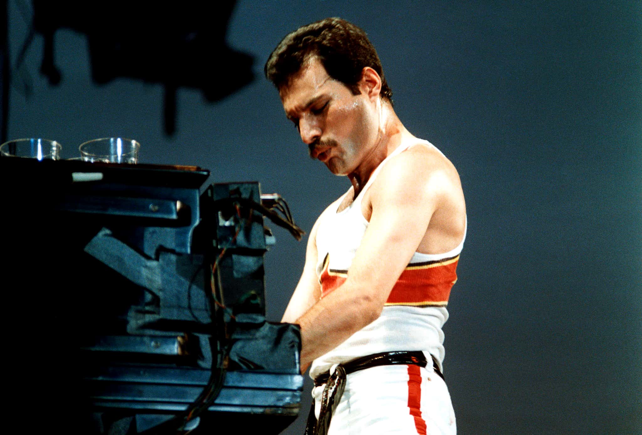 Freddie Mercury facts