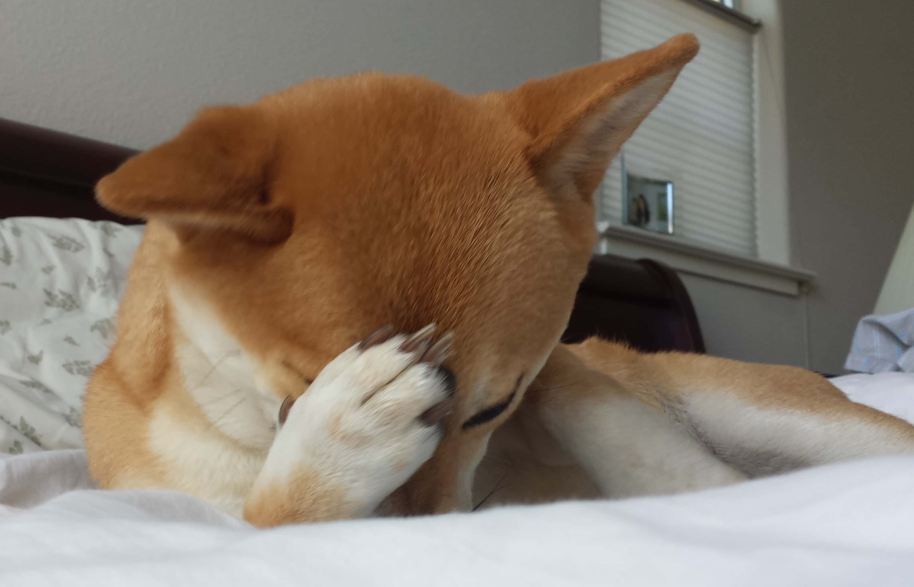 Italian History facts