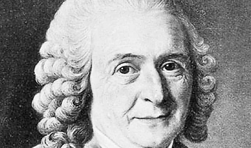 Feral Children facts