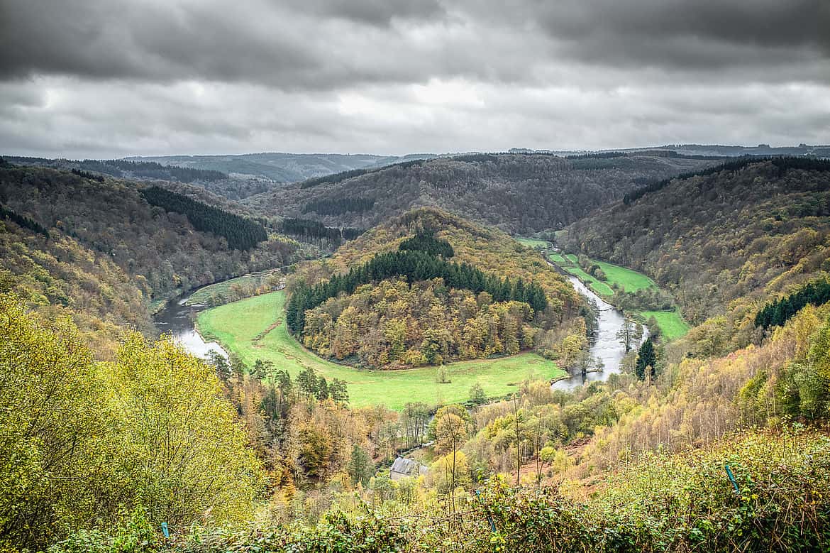 Feral Children facts