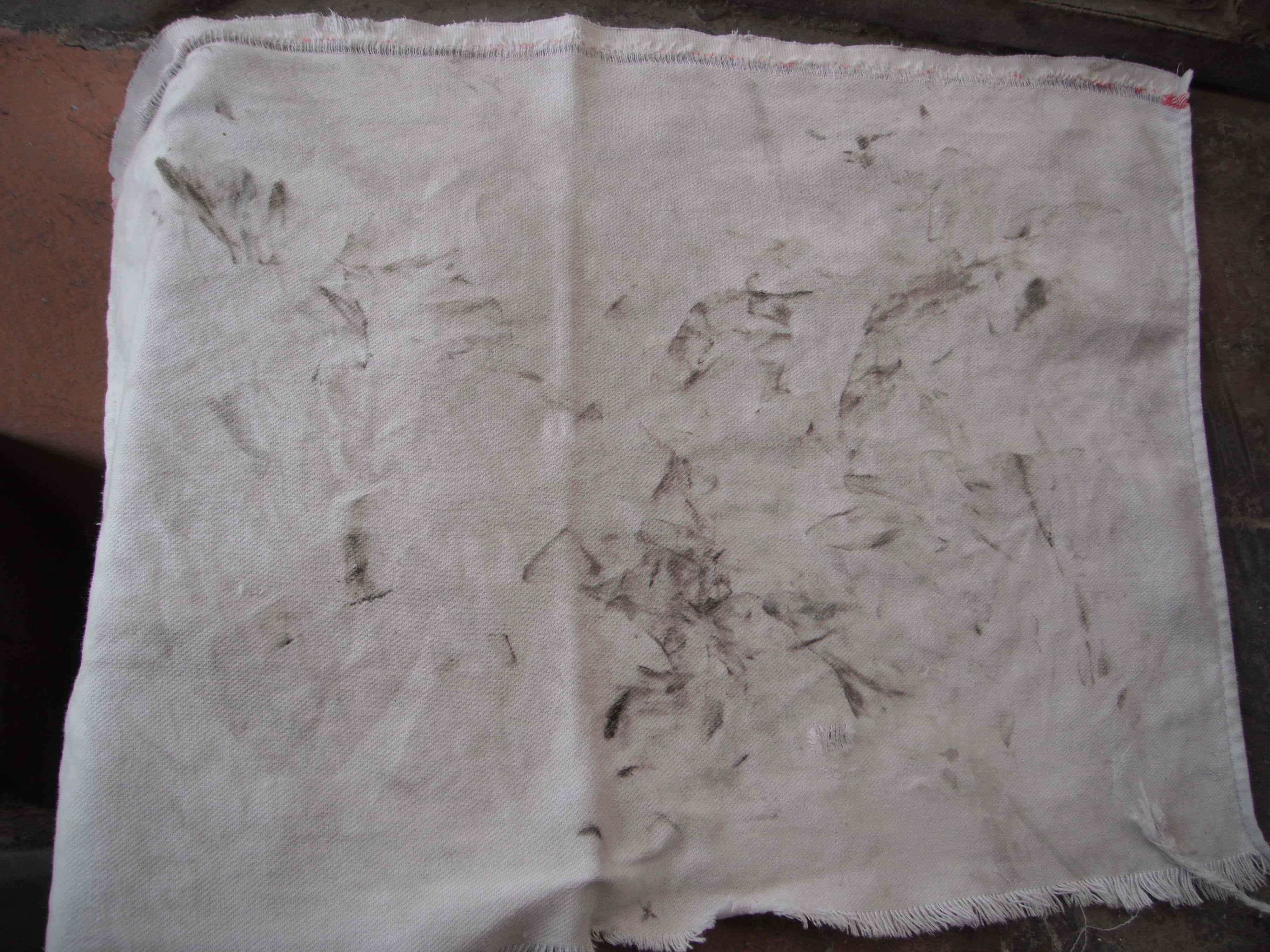 Medieval Europe facts